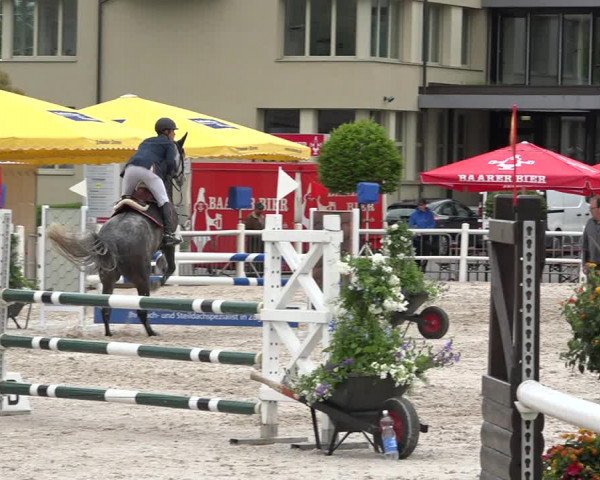 Reitturnier Zug 2019