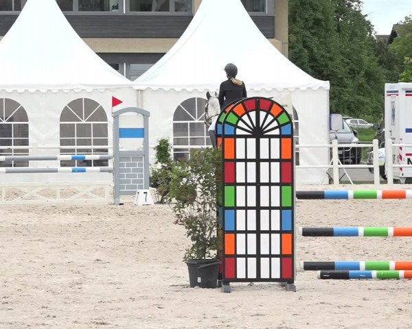 Reitturnier Zug 2019
