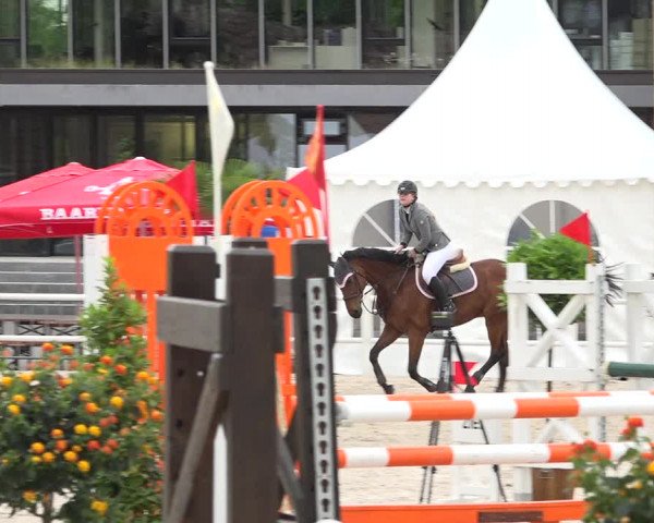Reitturnier Zug 2019