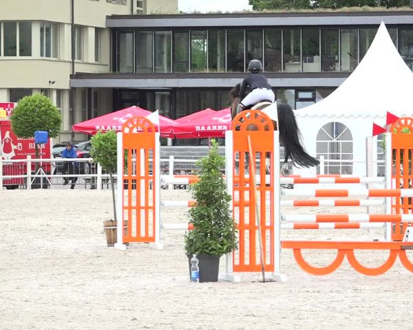 Reitturnier Zug 2019