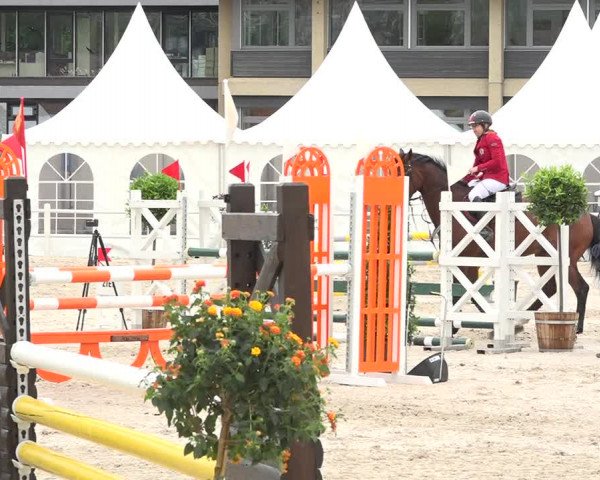 Reitturnier Zug 2019