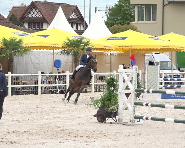 Reitturnier Zug 2019