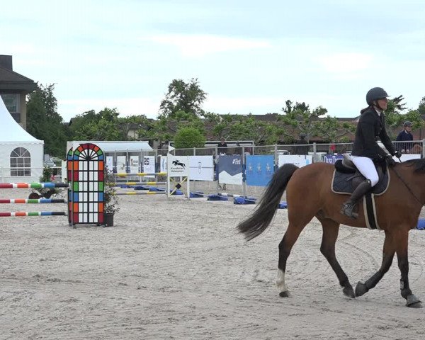 Reitturnier Zug 2019