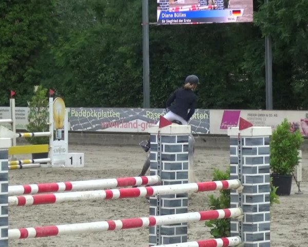 Reitturnier Zeiskam 2019