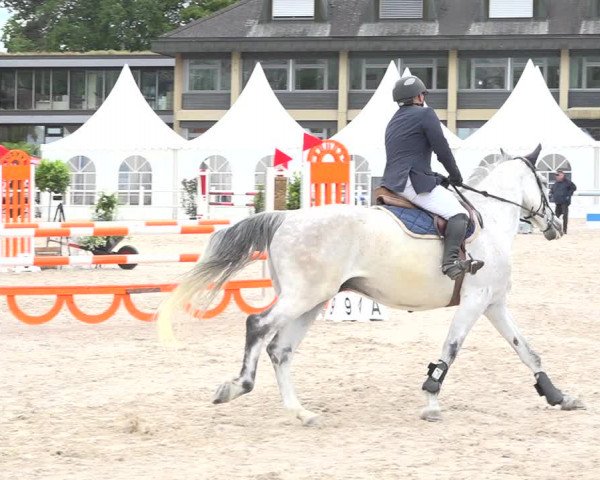 Reitturnier Zug 2019