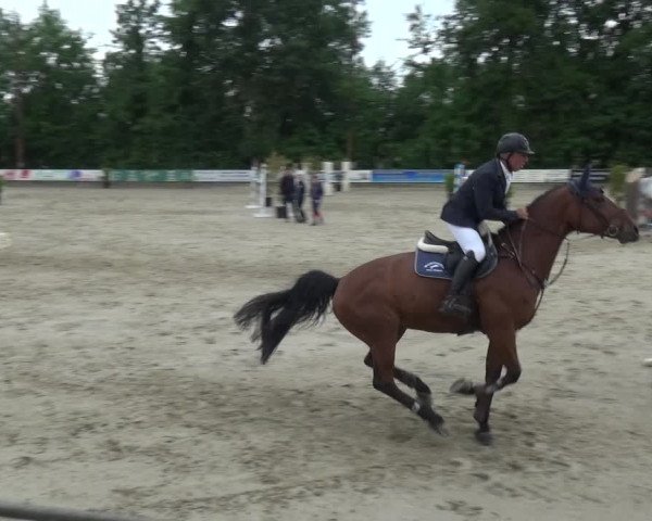Reitturnier Zeiskam 2019