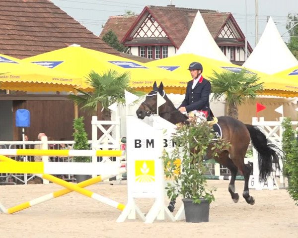 Reitturnier Zug 2019