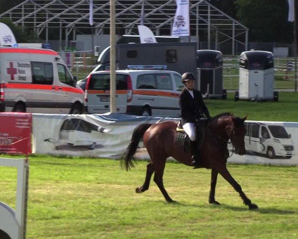 Reitturnier Rendsburg 2019