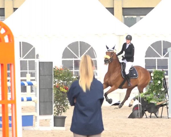 Reitturnier Zug 2019
