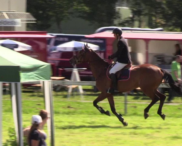 Reitturnier Rendsburg 2019