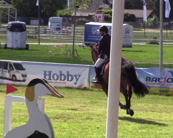 Reitturnier Rendsburg 2019