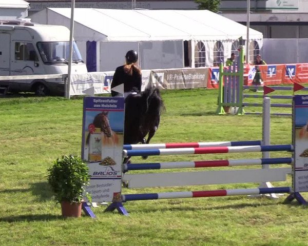 Reitturnier Rendsburg 2019