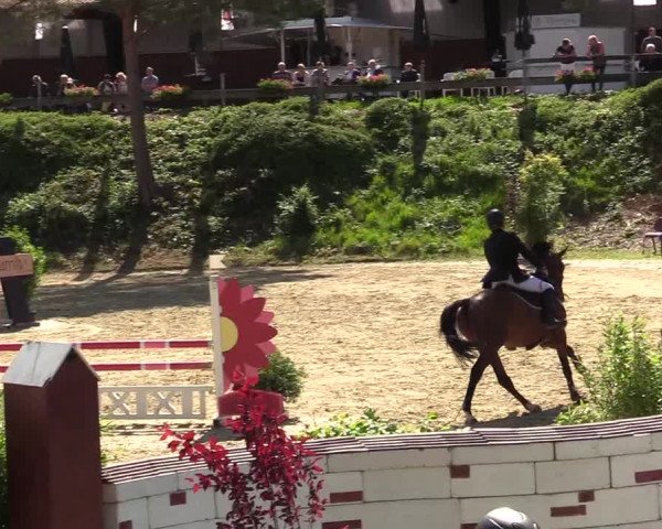 Reitturnier Iserlohn-Kalthof 2019