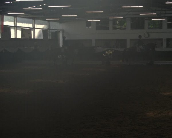 Reitturnier Bochum-Nord 2019