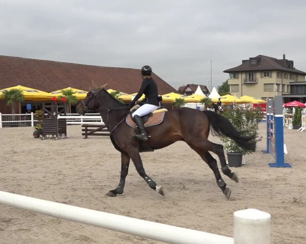 Reitturnier Zug 2019