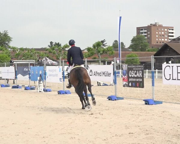 Reitturnier Zug 2019