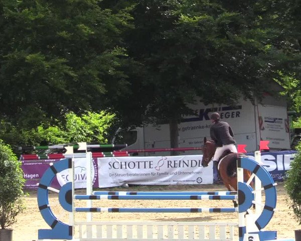 Reitturnier Iserlohn-Kalthof 2019