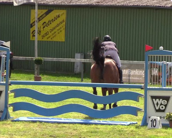 Reitturnier Rendsburg 2019