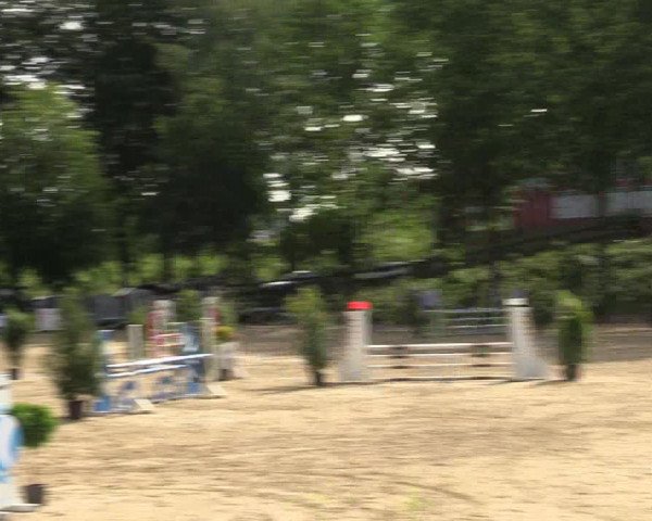 Reitturnier Iserlohn-Kalthof 2019