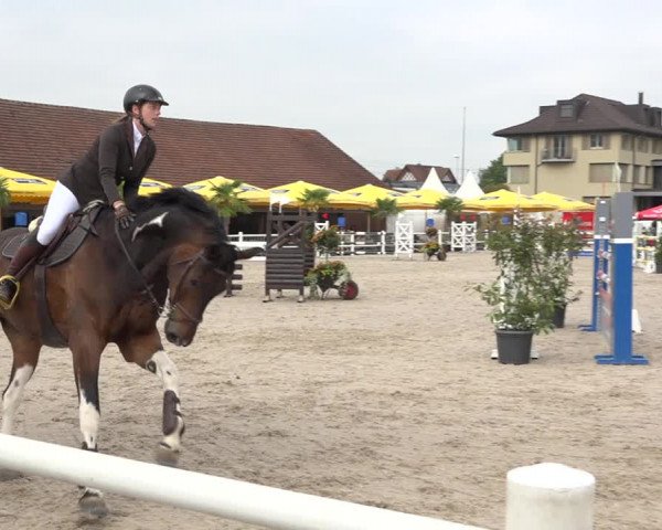 Reitturnier Zug 2019