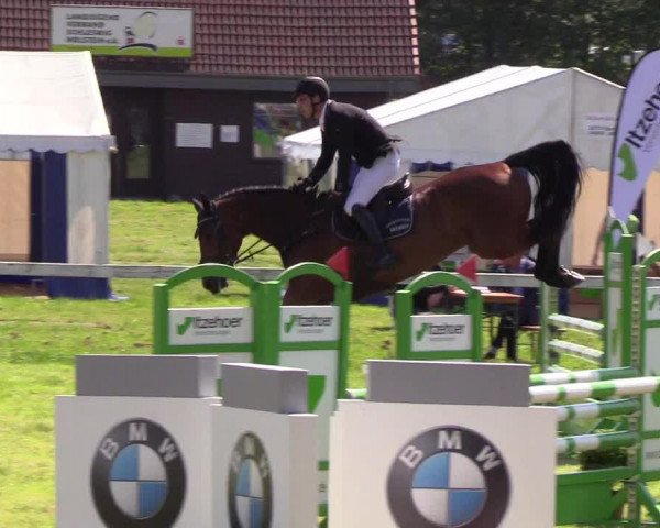 Reitturnier Rendsburg 2019
