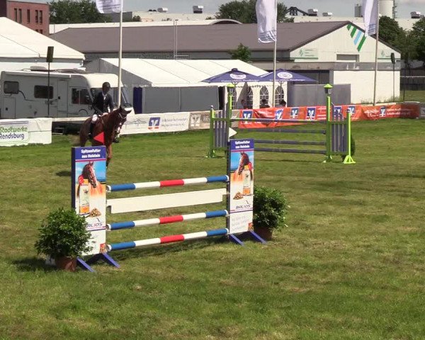 Reitturnier Rendsburg 2019