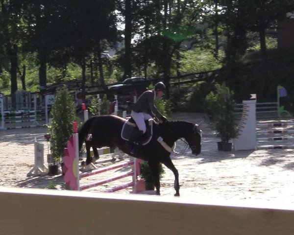 Reitturnier Iserlohn-Kalthof 2019