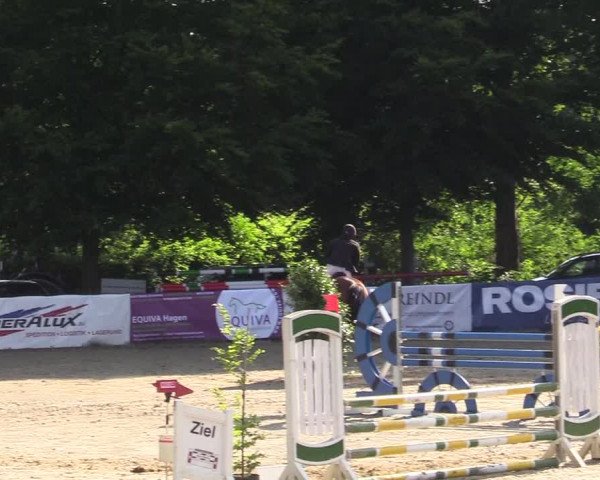 Reitturnier Iserlohn-Kalthof 2019
