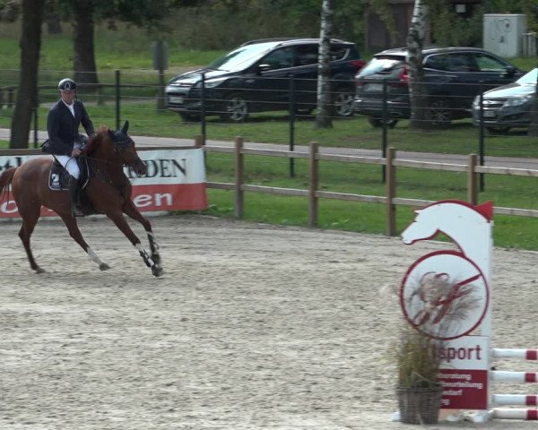 Reitturnier Westergellersen 2021