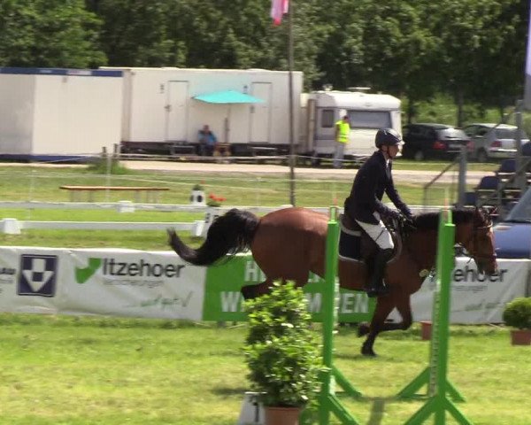 Reitturnier Rendsburg 2019