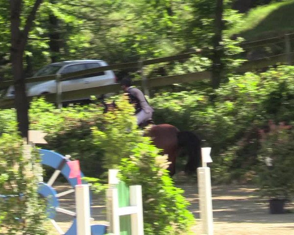 Reitturnier Iserlohn-Kalthof 2019