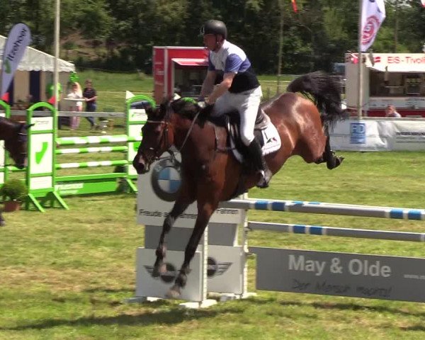 Reitturnier Rendsburg 2019