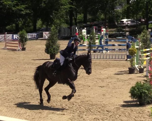 Reitturnier Iserlohn-Kalthof 2019