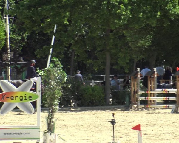 Reitturnier Bochum-Nord 2019