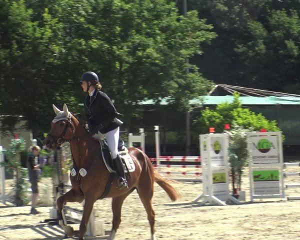 Reitturnier Bochum-Nord 2019