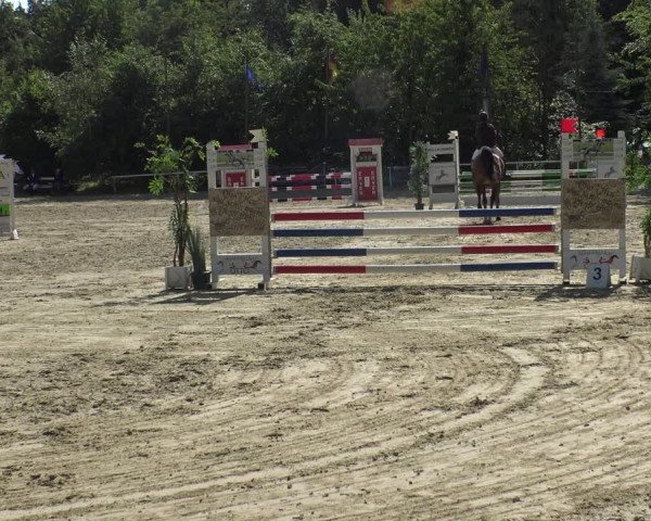 Reitturnier Bochum-Nord 2019