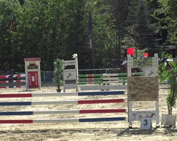 Reitturnier Bochum-Nord 2019