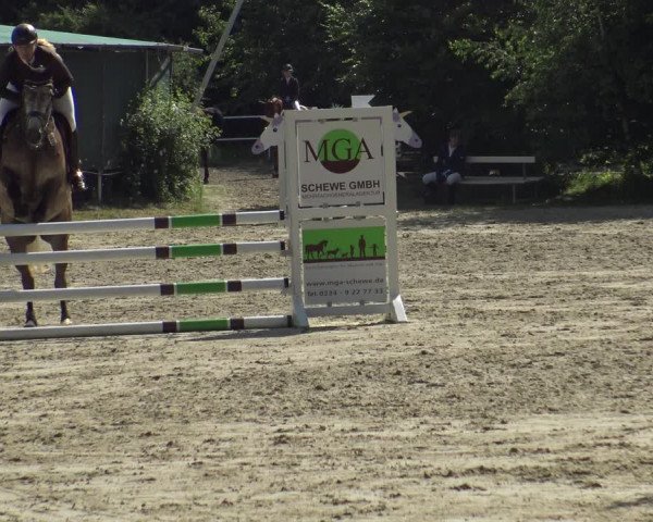 Reitturnier Bochum-Nord 2019