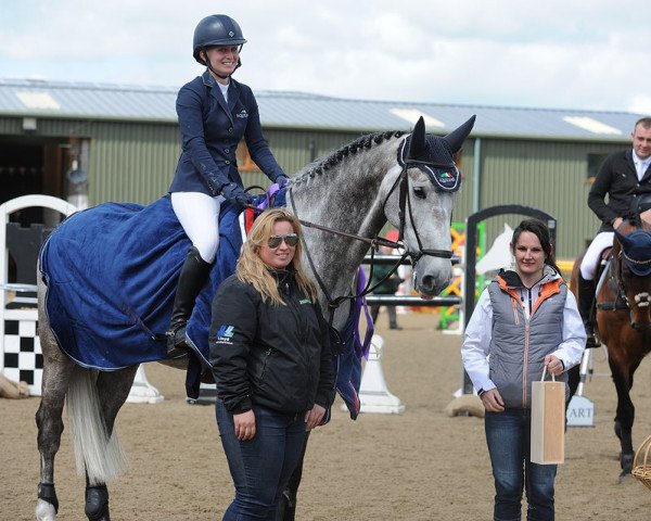 jumper Carthagon G Z (Zangersheide riding horse, 2009, from Calvino Z)