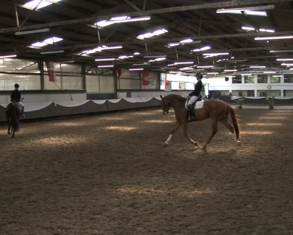 Reitturnier Bochum-Nord 2019