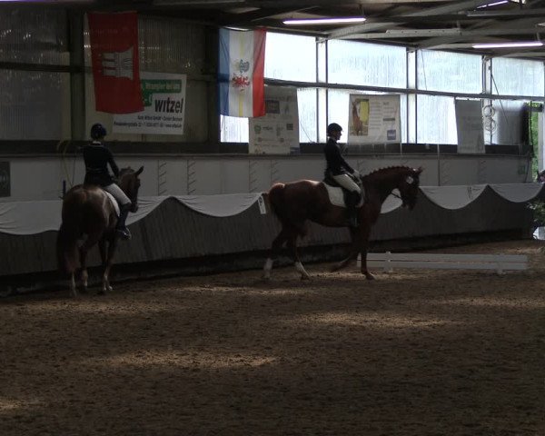Reitturnier Bochum-Nord 2019