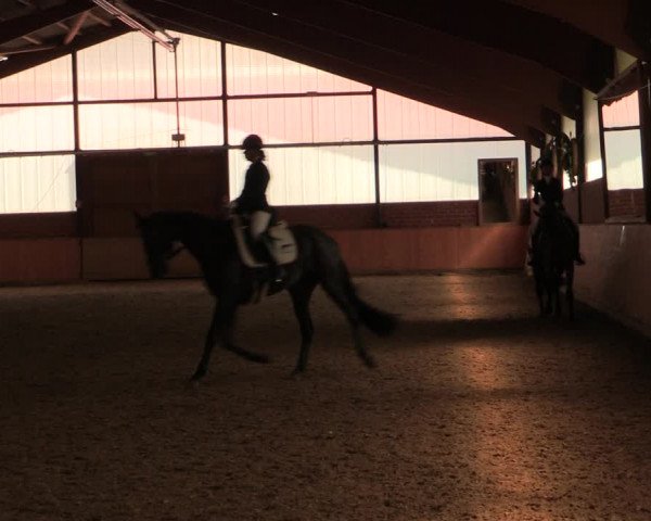 Reitturnier Iserlohn-Kalthof 2019