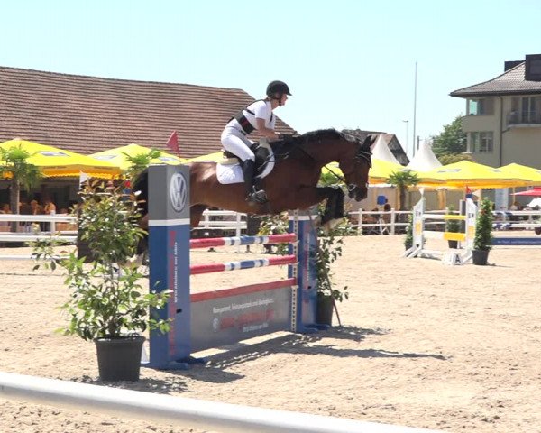 Reitturnier Zug 2019