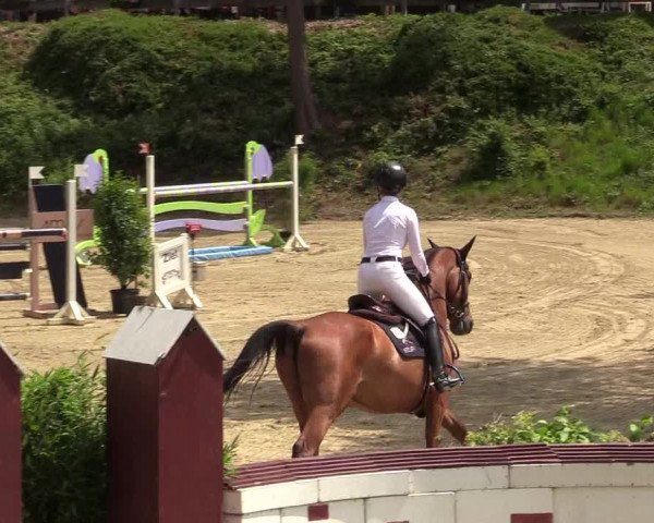 Reitturnier Iserlohn-Kalthof 2019