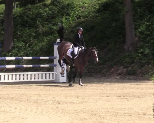 Reitturnier Iserlohn-Kalthof 2019