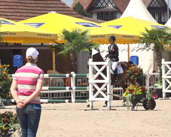 Reitturnier Zug 2019