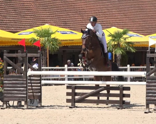 Reitturnier Zug 2019