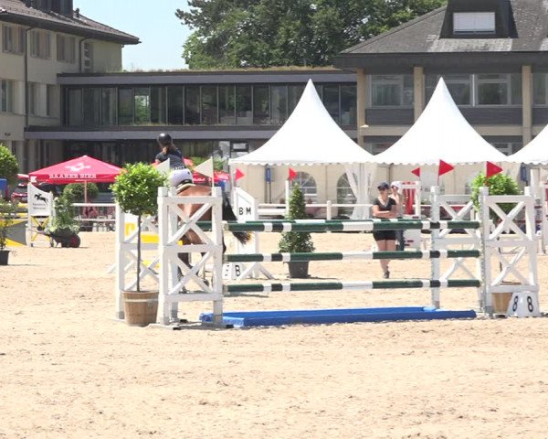 Reitturnier Zug 2019