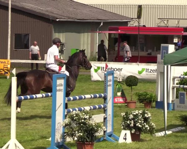 Reitturnier Rendsburg 2019