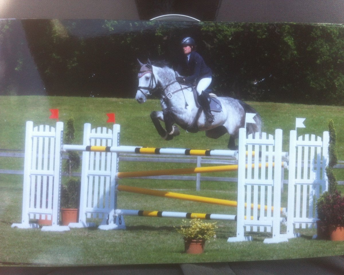 Pferd Cabron 2 (Holsteiner,  )